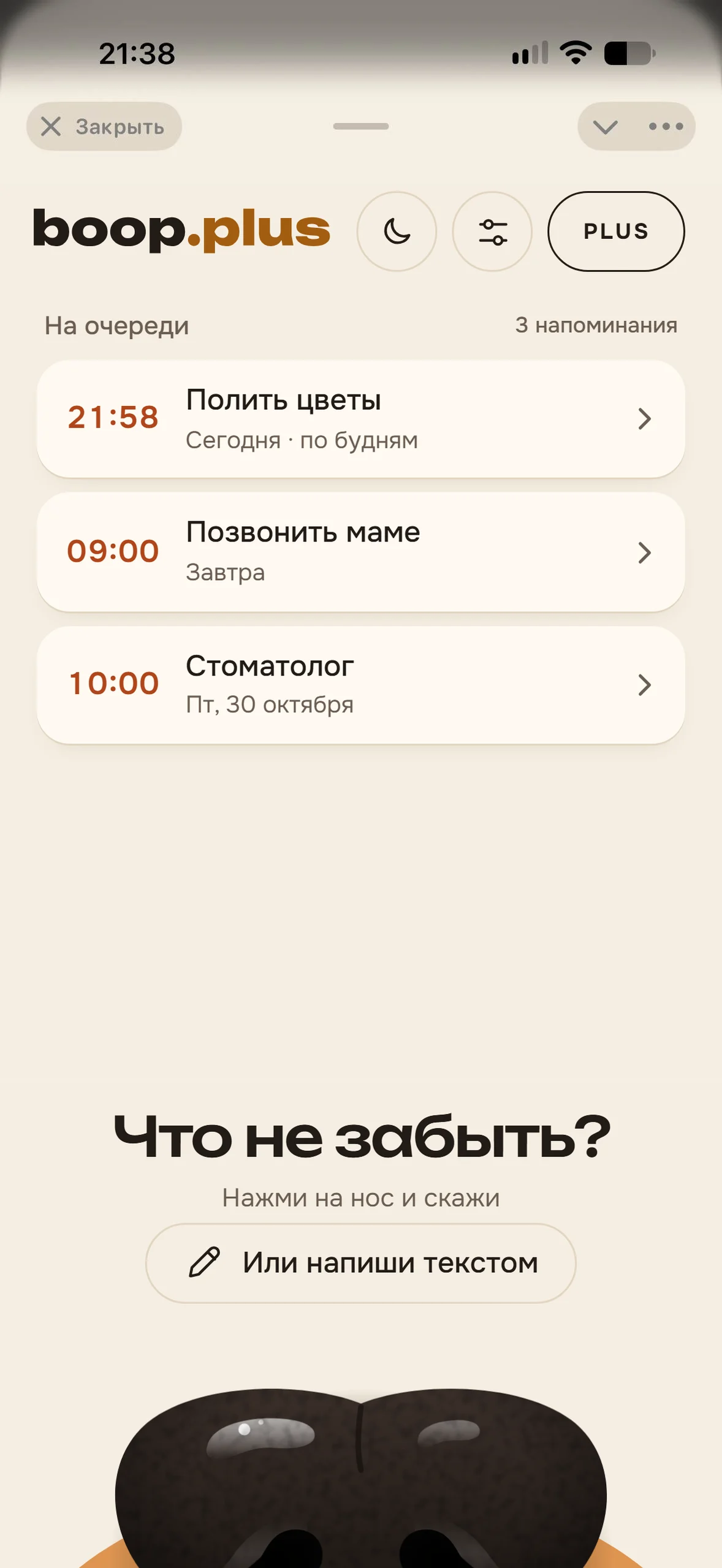 Lista de recordatorios en la app de Boop